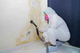 Orwell, OH Mold Removal & Remediation Company